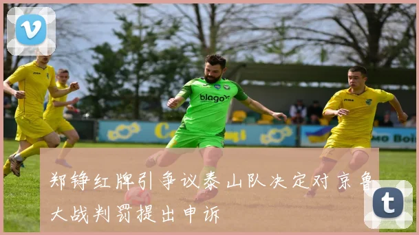 郑铮红牌引争议泰山队决定对京鲁大战判罚提出申诉